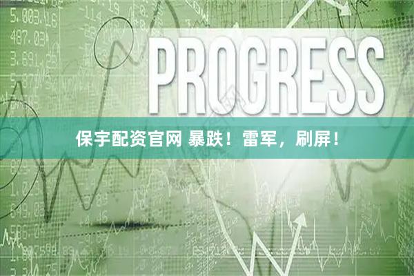 保宇配资官网 暴跌！雷军，刷屏！