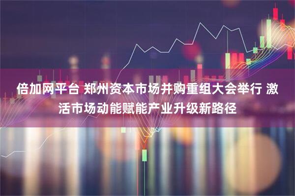 倍加网平台 郑州资本市场并购重组大会举行 激活市场动能赋能产业升级新路径